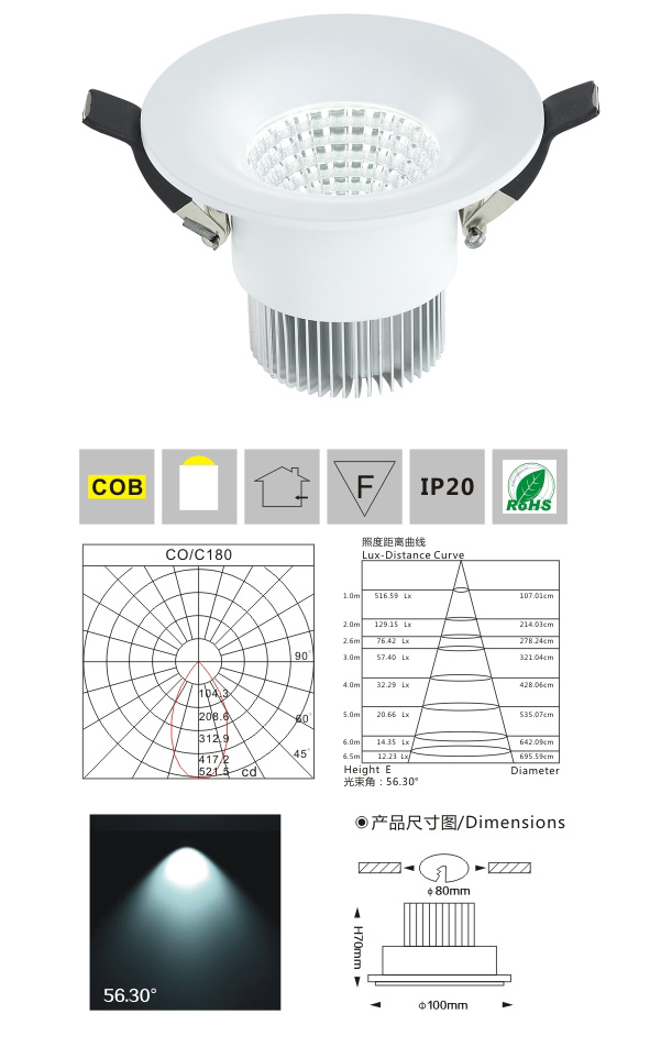 COB天花燈LM8004 10W 產品檢測