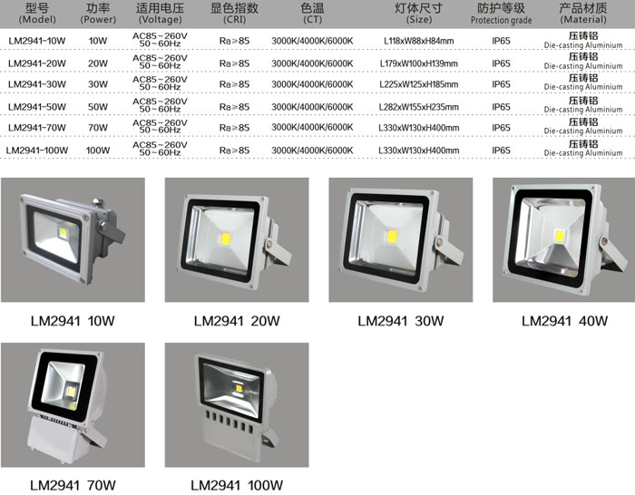 LED投光燈 LM2941 10W 規(guī)格說明